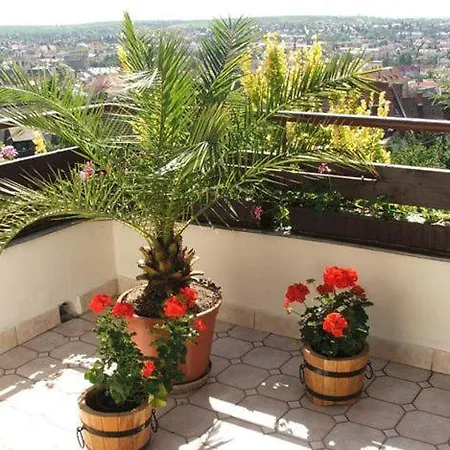 Apartment Apartmanhaz Zalanki Eger